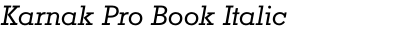 Karnak Pro Book Italic